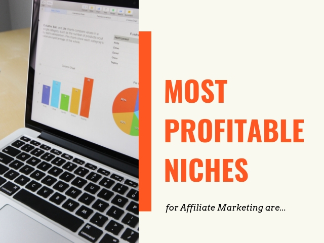 Most Profitable Niches